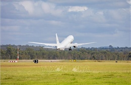 Australia, New Zealand điều máy bay khảo sát thiệt hại do núi lửa phun trào tại Tonga