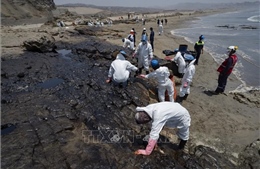 Peru ứng phó sự cố tràn dầu liên quan vụ núi lửa phun trào tại Tonga