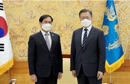 Bộ trưởng Ngoại giao Bùi Thanh Sơn hội kiến Tổng thống Hàn Quốc Moon Jae-in