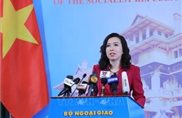 Việt Nam hết sức quan ngại trước tình hình xung đột vũ trang ở Ukraine