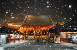 Cảnh báo tuyết rơi dày ở thủ đô Tokyo, Nhật Bản