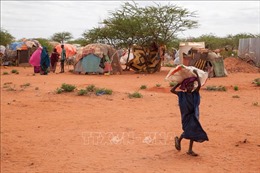 WFP kêu gọi nỗ lực ngăn chặn thảm họa nhân đạo do hạn hán ở Ethiopia