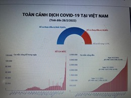 Toàn cảnh dịch COVID-19 tại Việt Nam