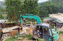 Lâm Đồng: Tạm ngừng cho thuê rừng để làm dịch vụ du lịch sinh thái, nghỉ dưỡng