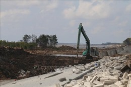 Nỗ lực khôi phục rừng phòng hộ, bảo vệ đê biển Gò Công