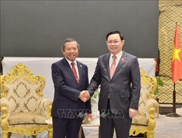  Phát triển mối quan hệ hữu nghị, đoàn kết đặc biệt giữa Việt Nam-Lào 