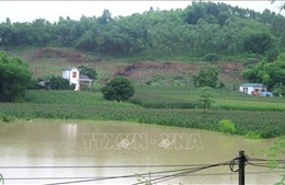 Tuyên Quang: Hơn 540 ha cây trồng bị ảnh hưởng do mưa lớn trên diện rộng