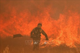 Cháy rừng nghiêm trọng tại Hy Lạp, Tây Ban Nha