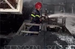 Điều tra nguyên nhân vụ cháy trong KCN Thạnh Phú, Đồng Nai