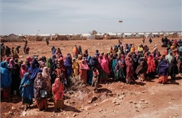 LHQ: 7,7 triệu người Somali cần viện trợ nhân đạo