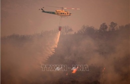 Nắng nóng kỷ lục gây cháy rừng ở nhiều nước châu Âu