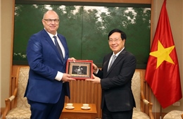 Phó Thủ tướng Phạm Bình Minh tiếp Đại sứ Đan Mạch