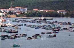 Kiên Giang: Sản lượng khai thác thủy sản giảm mạnh