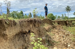 Bình Định: Sạt lở bờ sông La Tinh, người dân mất đất sản xuất