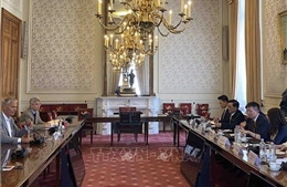 Tăng cường hợp tác giữa hai Nhóm nghị sĩ hữu nghị Việt Nam và Bỉ