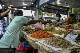 Giá thực phẩm leo thang, người dân Sri Lanka chật vật xoay sở