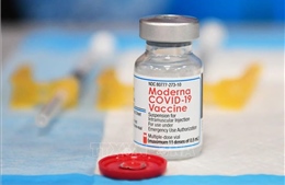 Mỹ đạt thỏa thuận mua 66 triệu liều vaccine đặc hiệu chống Omicron của Moderna
