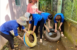 Đồng Nai: Phát động chiến dịch đồng loạt ra quân phòng, chống dịch sốt xuất huyết