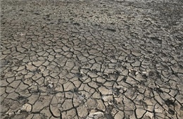 Anh, Pháp trải qua tháng 7 khô hạn nhất trong lịch sử