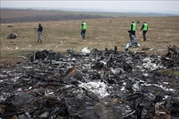 Vụ rơi máy bay MH17: Tòa án Hà Lan ấn định thời điểm công bố phán quyết