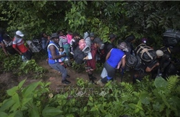 Số người di cư vượt biên vào Panama giảm mạnh