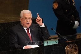 Lãnh đạo Palestine, Ai Cập, Jordan kêu gọi bảo vệ quyền của người Palestine