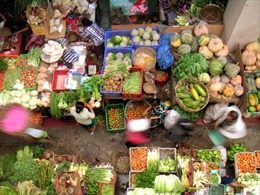 Indonesia chi hơn 6 tỷ USD đảm bảo an ninh lương thực