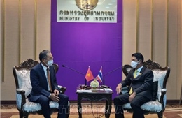 Thái Lan đề cao hợp tác công nghiệp với Việt Nam
