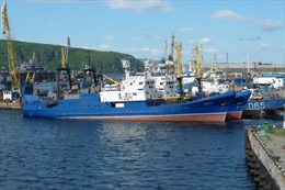 Nga, Na Uy thống nhất hạn ngạch đánh bắt cá năm 2023