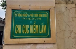 Chi cục trưởng Kiểm lâm Quảng Trị bị cách chức, xuống làm nhân viên