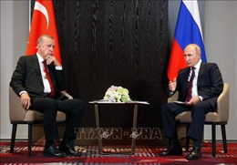 Nga, Thổ Nhĩ Kỳ mong muốn tăng cường các dự án năng lượng