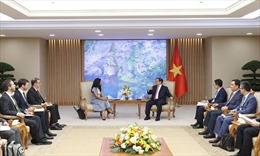Thủ tướng tiếp Đoàn đại diện Quỹ Tiền tệ quốc tế làm việc tại Việt Nam