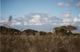 Tanzania huy động quân đội đến dập tắt đám cháy trên núi Kilimanjaro