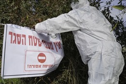 Israel phát hiện ổ dịch cúm gia cầm H5N1 đầu tiên