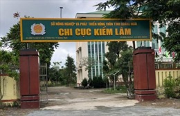 Phát hiện hàng loạt sai phạm tại Chi cục kiểm lâm tỉnh Quảng Ngãi