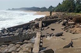 Quảng Ngãi: Triều cường đánh sập hàng chục mét kè biển
