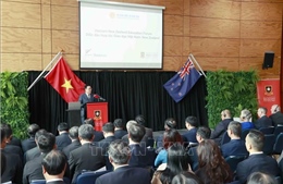Chủ tịch Quốc hội dự Diễn đàn Hợp tác giáo dục Việt Nam - New Zealand