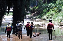Ít nhất 14 người bị thiệt mạng do lũ quét ở Johannesburg, Nam Phi