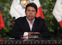 Quốc hội Peru thông qua kiến nghị khởi động tiến trình luận tội Tổng thống Pedro Castillo