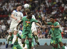 WORLD CUP 2022: HLV Aliou Cisse thừa nhận sự vượt trội của đội tuyển Anh