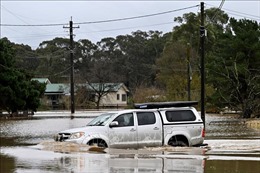 Bão, lũ lụt gây thiệt hại 120 tỷ USD cho các hãng bảo hiểm trong năm 2022