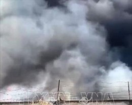 Bình Dương: Khống chế thành công vụ cháy tại công ty gỗ ở Tân Uyên