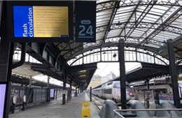 Một nhà ga ở Paris phải đóng cửa do hành vi phá hoại