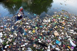 Tìm lời giải cho vấn đề rác thải ở TP Hồ Chí Minh - Bài 2: Ý thức người dân chưa cao