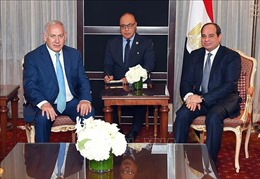 Tổng thống Ai Cập và Thủ tướng Israel thảo luận các vấn đề khu vực