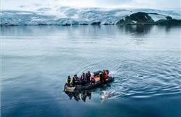 Người đầu tiên hoàn thành đường bơi dài 2,5 km ở Nam Cực