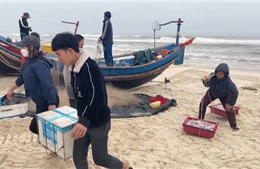 Ngư dân vùng bãi ngang Quảng Bình trúng vụ cá khoai đầu năm