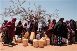 Kenya: 6 triệu người bị mất an ninh lương thực do hạn hán kéo dài
