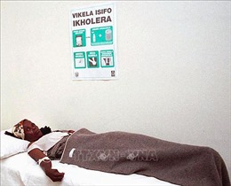 Nam Phi ghi nhận ca tử vong đầu tiên do bệnh tả sau hơn 1 thập kỷ
