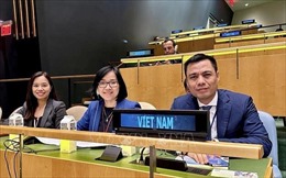 Việt Nam chủ động, tích cực đóng góp vào các nỗ lực thúc đẩy y tế toàn cầu